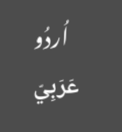 Screenshot of Arabic scripts