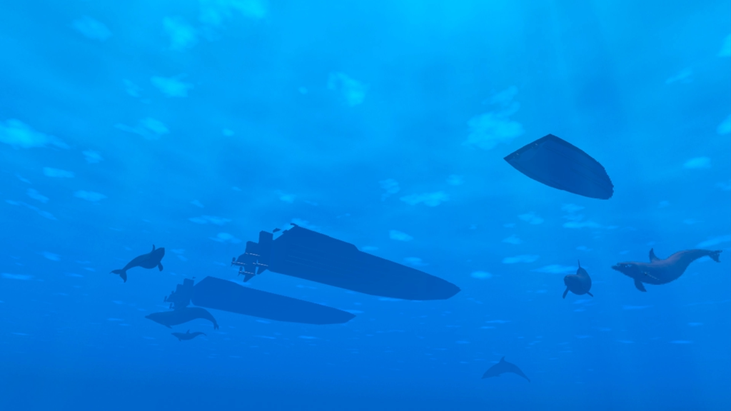 SOMAR boats and dolphins
