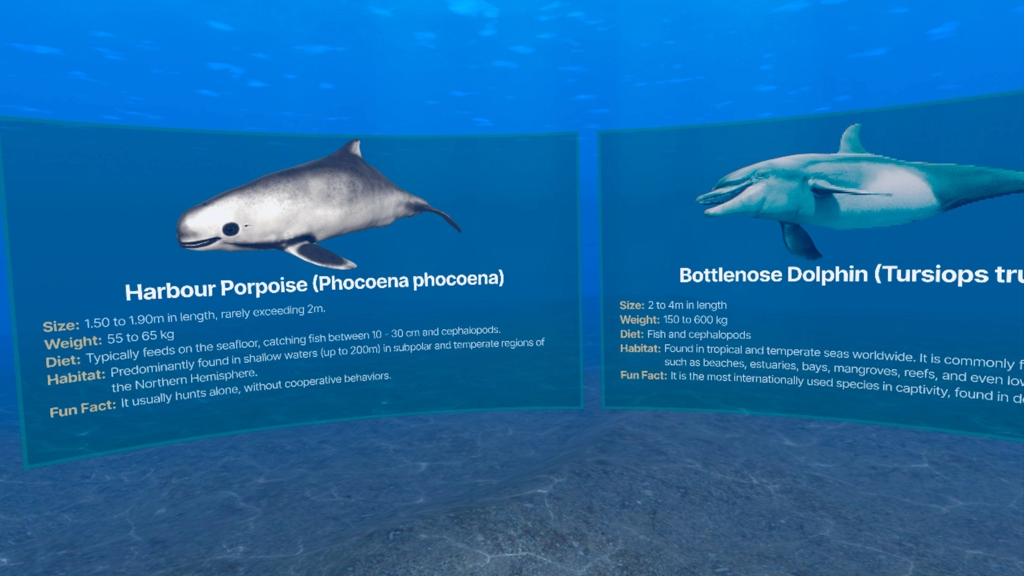 SOMAR info panels