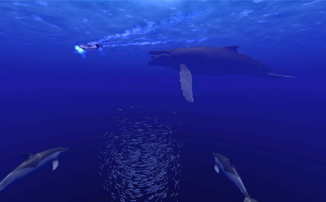 SOMAR whale